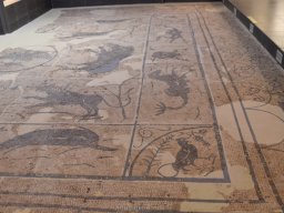 Ciudad de Elche 2022